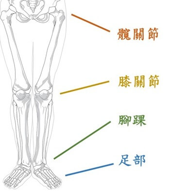 肢體被動關節運動下肢腳關節